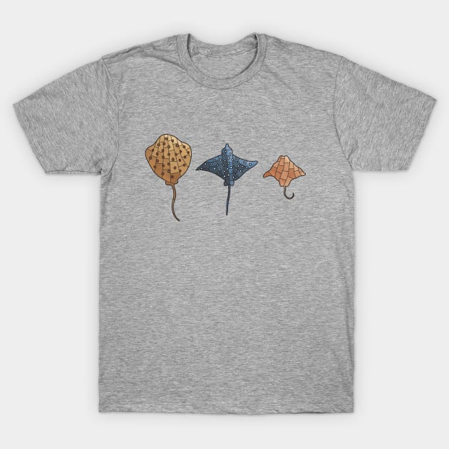 3 Stingrays T-Shirt by DesignsByDoodle